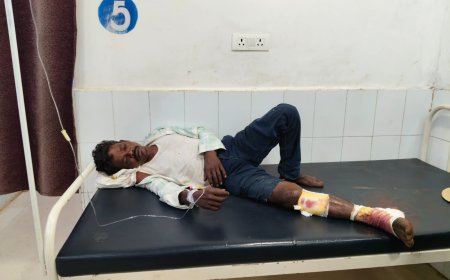 ବାଇକକୁ ଧକ୍କା ଦେଲା ବୋଲେର,ଦୁଇ ଗୁରୁତର।