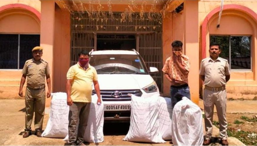 କାର୍‌ରୁ ୧୩୦ କିଲୋ ଗଞ୍ଜେଇ ଜବତ, ଦୁଇ ଅଭିଯୁକ୍ତ ଗିରଫ