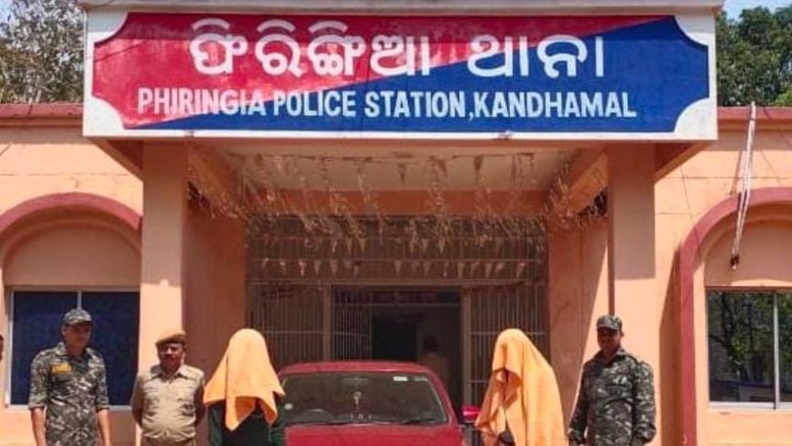 ଫିରିଙ୍ଗିଆ ପୁଲିସ ଦ୍ଵାରା କାର୍ ସହ ୩୦କିଲୋ ଗଞ୍ଜେଇ ଜବତ, ୨ ଗିରଫ