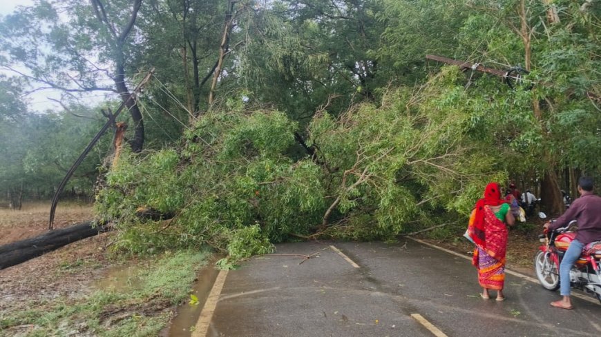 ଝରିଗାଁରେ କାଳ ବୈଶାଖୀର ପ୍ରଭାବ ଗଛ ପଡି ଝରିଗାଁ-ଉମରକୋଟ ରାସ୍ତା ଅବରୋଧ।