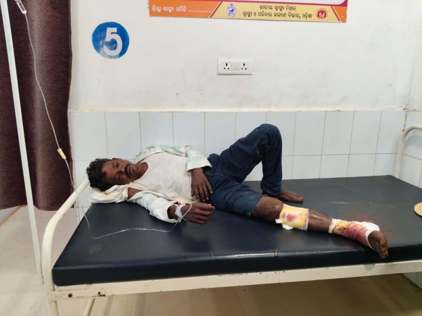 ବାଇକକୁ ଧକ୍କା ଦେଲା ବୋଲେର,ଦୁଇ ଗୁରୁତର।