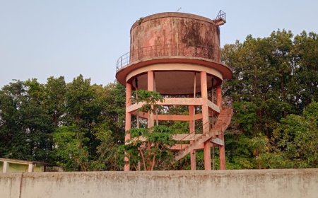 ବିଦ୍ୟୁତ ବିଭ୍ରାଟ ଯୋଗୁଁ କାମରେ ଆସୁନି ବସୁଧା ଯୋଜନା, ପାନୀୟ ଜଳ ସମସ୍ୟାରେ  ଦୁଇ ସାହିର ୮୦ ପରିବାର।