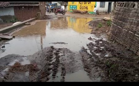 ଗାଁ ଦାଣ୍ଡରେ ବର୍ଷା ବୁନ୍ଦେ ପଡିଲେ ସମୁଦ୍ର ଲହଡ଼ି ଭାଙ୍ଗେ।ମଶା ଘର କରୁଛି, ମ୍ୟାଲେରିଆ ଭୟ ଘାରୁଛି।