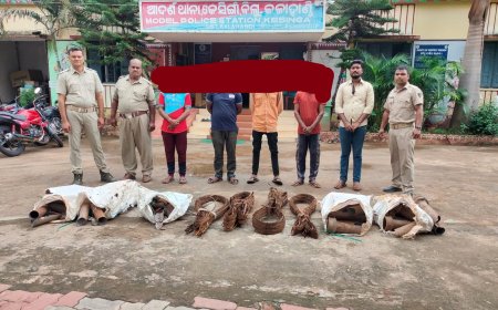 କେସିଙ୍ଗା ସ୍ପିନିଙ୍ଗ ମିଲ ରୁ ମୂଲ୍ୟବାନ ଜିନିଷ ପତ୍ର ଚୋରି l