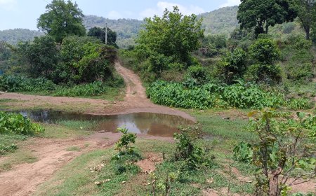 ସମସ୍ୟା ଘେରରେ ବାରବୁଲି ଗାଁ ଗାଁ ବିକାଶରେ ବାଧକ ସାଜିଛି ରାସ୍ତା ଓ ପୋଲ,ଶିକ୍ଷା,ସ୍ୱାସ୍ଥ୍ୟ,ଗମନାଗମନ ଏମାନଙ୍କ ପାଇଁ ସାତ ସପନ*