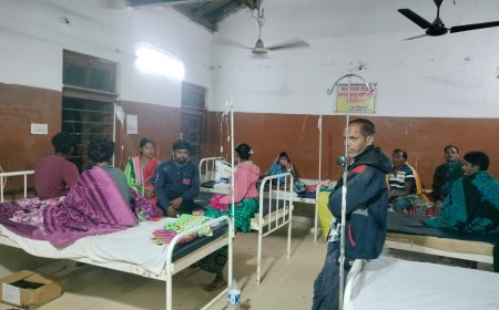 ଛତୁ ଖାଇ ୬ ଅସୁସ୍ଥ।