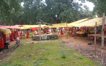 ବଡ଼ନୀ ସାପ୍ତାହିକ ହାଟପିଣ୍ଡି ଉପରେ ନାହିଁ ଛାତ, ବର୍ଷାଋତୁରେ ସମସ୍ୟା ଭୋଗୁଛନ୍ତି ବ୍ୟବସାୟୀ ।