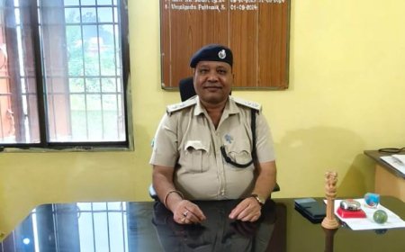 ଡାବୁଗାଁରେ ନୂତନ ବନାଞ୍ଚଳ ଅଧିକାରୀଙ୍କ ଯୋଗଦାନ ।