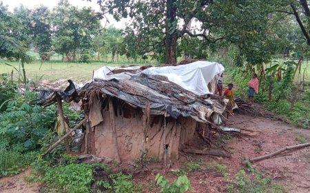 ଭଙ୍ଗା କୁଡ଼ିଆରେ ଦିନ କାଟୁଥିବା ନିରୀହ ମହିଳାଙ୍କ ଉପରେ ପ୍ରଶାସନର ନଜର ପଡ଼ିବ କେବେ?