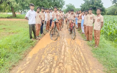 କାଦୁଅ ପଚପଚ ରାସ୍ତା ଦେଇ ଯିବା ଆସିବା କରୁଛନ୍ତି ସ୍କୁଲ ଛାତ୍ରଛାତ୍ରୀ ।