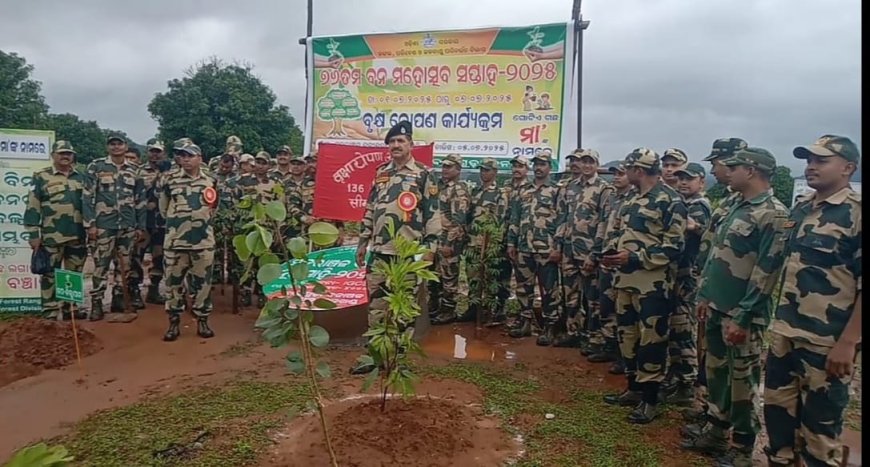 ବାଲିଗୁଡ଼ା ସହରରେ 76ତମ ବନଖଣ୍ଡ ପକ୍ଷରୁ ସପ୍ତାହ ମହୋତ୍ସବ 2025 l ଏକ ପେଡ଼ ମା କେ ନାମ  l