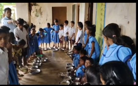 କେବେ ସୁଧୁରିବ ଧୋଡ୍ରା ଉଚ୍ଚ ପ୍ରାଥମିକ ବିଦ୍ୟାଳୟ ସମସ୍ୟା ।