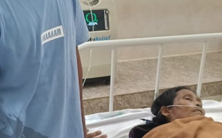 ସାପ କାମୁଡାରେ ଚାଲିଗଲା ବିଧବା ମାଆଙ୍କ ଜୀବନ l