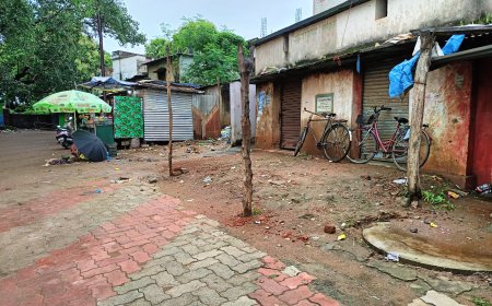 ଜୁନାଗଡ ବଜାରପଡ଼ା ଡ୍ରେନ କାମ କେବେ ? ଏନ.ଏ.ସି ର ନିରବତା ଓ ଜନତାଙ୍କ ଦୀର୍ଘ ଅପେକ୍ଷା