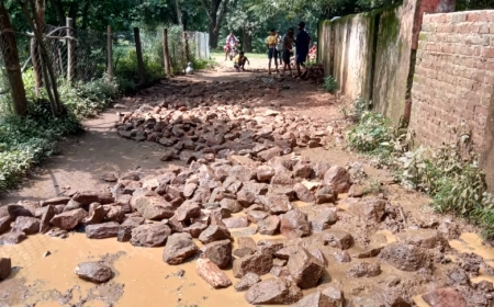 ଶୁଣିଲାନି ପ୍ରଶାସନ, ଅର୍ଥ ଓ ଶ୍ରମ ଦାନ କରି କାଦୁଅ ପଚ ପଚ ରାସ୍ତାର ମରାମତି କଲେ ୫୦ ଯୁବକ।