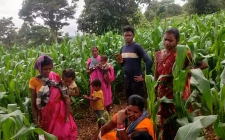 ୪ଟି ଟାୱାର ଥାଇ ରହୁନାହିଁ  ନେଟୱାର୍କ, ସମସ୍ୟାରେ ଚକଲାପଦର ପଞ୍ଚାୟତର ବାସୀ।