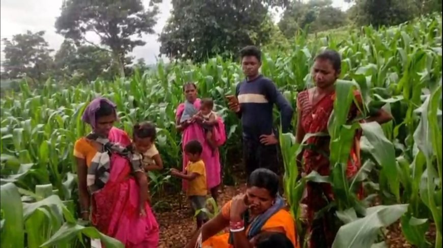 ୪ଟି ଟାୱାର ଥାଇ ରହୁନାହିଁ  ନେଟୱାର୍କ, ସମସ୍ୟାରେ ଚକଲାପଦର ପଞ୍ଚାୟତର ବାସୀ।