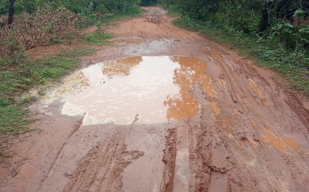ଝରିଗାଁ ବ୍ଲକର ୬୦ରୁ ଊର୍ଦ୍ଧ୍ବ ଗାଁକୁ ନାହିଁ ପକ୍କା ରାସ୍ତା ବର୍ଷାଦ‌ିନେ ଗଡ଼ୁନି ଆମ୍ବୁଲାନ୍ସ ଗର୍ଭବତୀ ଓ ରୋଗୀଙ୍କୁ ଖଟିଆ ଭରସା।