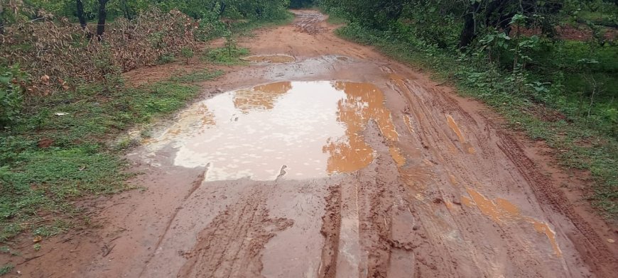 ଝରିଗାଁ ବ୍ଲକର ୬୦ରୁ ଊର୍ଦ୍ଧ୍ବ ଗାଁକୁ ନାହିଁ ପକ୍କା ରାସ୍ତା ବର୍ଷାଦ‌ିନେ ଗଡ଼ୁନି ଆମ୍ବୁଲାନ୍ସ ଗର୍ଭବତୀ ଓ ରୋଗୀଙ୍କୁ ଖଟିଆ ଭରସା।