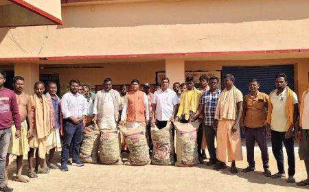 ଉଦ୍ୟାନ ବିଭାଗ ପକ୍ଷରୁ ଆଳୁ ବିହନ ବଣ୍ଟନ ।