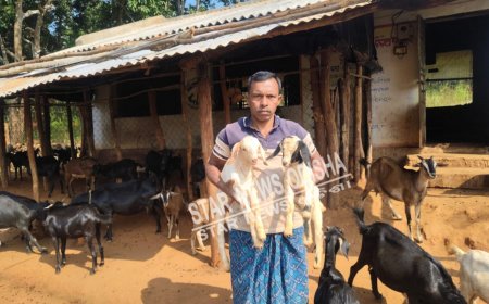 ଛେଳିଚାଷ ରୁ ସ୍ୱାବଲମ୍ବୀ ଜିତେନ୍ଦ୍ର କହଁର ।ବାର୍ଷିକ ଆୟ ୩ ଲକ୍ଷରୁ ଉର୍ଦ୍ଧ ।
