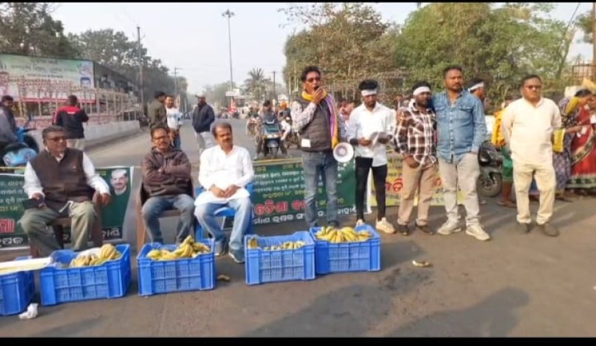 ନବ ନିର୍ମାଣ କୃଷକ ସଙ୍ଘ ପକ୍ଷରୁ ବନ୍ଦ ଡାକରା ପ୍ରଭାବ, ଅଖଚକ ବନ୍ଦ, ଜନ ଜୀବନ ପ୍ରଭାବିତ।