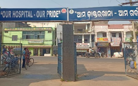 ଅଳ୍ପକେ ଟଳିଗଲା ବଡ଼ ଅଘଟଣ: କେସିଙ୍ଗା ମେଡିକାଲ ଓପିଡି ଉପରେ ଭାଙ୍ଗି ପଡ଼ିଲା ବିରାଟ ପିପଳ ଗଛ