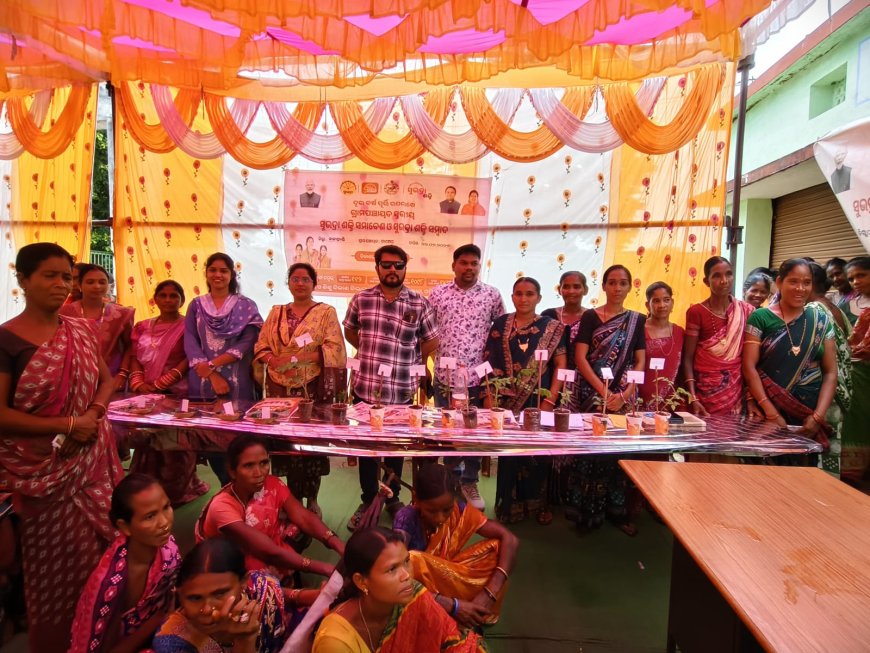 ସରକାରଙ୍କ ଦୁଇ ବର୍ଷ ପୂର୍ତ୍ତି ଅବସରରେ ଚାଞ୍ଚେର ପଞ୍ଚାୟତରେ ହିତାଧିକାରୀ ସମ୍ମିଳନୀ ଓ ସୁଭଦ୍ରା ଶକ୍ତି ସମାବେଶ