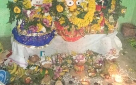 କାମଠଣା ପଞ୍ଚାୟତର ବାଲିଜୋର ଗ୍ରାମରେ ପବିତ୍ର ରଥଯାତ୍ରା ପାଳିତ
