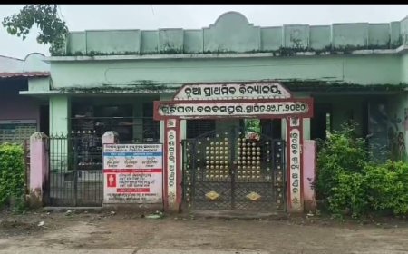 ଜଣେ ଶିକ୍ଷକରେ ଚାଲିଛି ୬୦ରୁ ଅଧିକ ଛାତ୍ରଙ୍କ ପାଠପଢ଼ା, ବିଇଓଙ୍କ ଦ୍ୱାରସ୍ତ ହେଲେ ଗ୍ରାମବାସୀ ଶିକ୍ଷକ ସମସ୍ୟାରେ ବିଇଓଙ୍କ ଦ୍ୱାରସ୍ତ ଗ୍ରାମବାସୀ