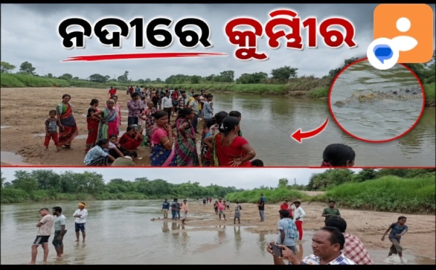 ହାତୀନଦୀରେ କୁମ୍ଭୀର, ଆତଙ୍କିତ ଗ୍ରାମବାସୀ