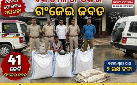 ୪୧ କେଜି ଗଞ୍ଜେଇ ଜବତ, ଜଣେ ଅଟକ କେସିଙ୍ଗା ନୂତନ ବସଷ୍ଟାଣ୍ଡ ନିକଟରେ ପୋଲିସର ଚଢ଼ାଉ 