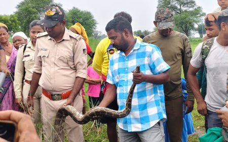 ବାହାଦୁରପଦରରେ ୮ ଫୁଟିଆ ଅଜଗର ଉଦ୍ଧାର ତେଳନଦୀ ପୀଠ ନିକଟରେ ଚାଷଜମିରୁ ଉଦ୍ଧାର, ଦେଖିବାକୁ ଜମିଲା ଲୋକଙ୍କ ଭିଡ଼