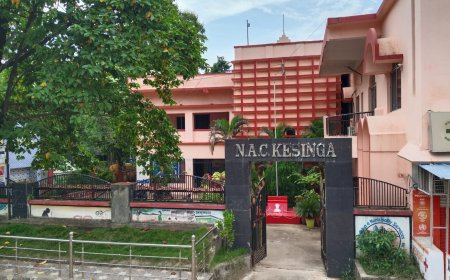 କେସିଙ୍ଗା NACରେ ଜନସେବା ନା ମୁହଁଦେଖା କାରବାର? ଅଭିଯୋଗର ପାହାଡ଼, ଅଧିକାରୀଙ୍କ ନିକଟରେ ଉତ୍ତର ଖୋଜୁଛନ୍ତି ସାଧାରଣ ଲୋକ