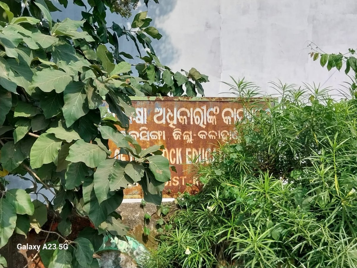 ଶିକ୍ଷକଙ୍କ ପଦୋନ୍ନତି ଓ ବଦଳି: ଅର୍ଦ୍ଧବାର୍ଷିକ ପରୀକ୍ଷା ପୂର୍ବରୁ ଉଠିଲା ପ୍ରଶ୍ନ ଖାଲି ପଡ଼ିଥିବା ଶିକ୍ଷକ ପଦବୀ ପୂରଣ ହୋଇଛି କି? ଅଧାରୁ ପାଠ ପଢ଼ାଇଥିବା ଛାତ୍ରଛାତ୍ରୀଙ୍କ ପଢ଼ା କିପରି ଆଗକୁ ବଢ଼ିବ
