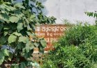 ଶିକ୍ଷକଙ୍କ ପଦୋନ୍ନତି ଓ ବଦଳି: ଅର୍ଦ୍ଧବାର୍ଷିକ ପରୀକ୍ଷା ପୂର୍ବରୁ ଉଠିଲା ପ୍ରଶ୍ନ ଖାଲି ପଡ଼ିଥିବା ଶିକ୍ଷକ ପଦବୀ ପୂରଣ ହୋଇଛି କି? ଅଧାରୁ ପାଠ ପଢ଼ାଇଥିବା ଛାତ୍ରଛାତ୍ରୀଙ୍କ ପଢ଼ା କିପରି ଆଗକୁ ବଢ଼ିବ