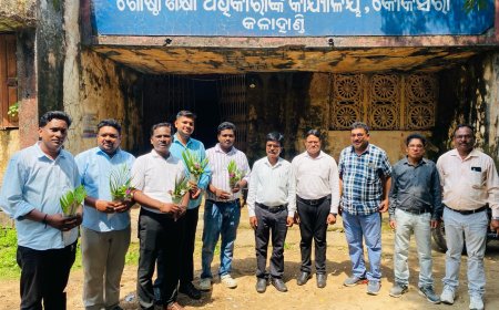 କଳାହାଣ୍ଡିରେ ୭୩ ନୂତନ CRCC ଯୋଗଦାନ ୧୩ ବ୍ଲକରେ ଦାୟିତ୍ୱ ଗ୍ରହଣ; ବିଦ୍ୟାଳୟର ଏକାଡେମିକ୍ ତଦାରଖ ଓ ଶିକ୍ଷକ ସହାୟତା ବ୍ୟବସ୍ଥା ହେବ ମଜବୁତ