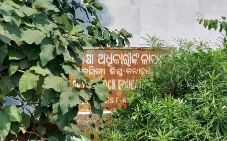 ଶିକ୍ଷକଙ୍କ ପଦୋନ୍ନତି ଓ ବଦଳି: ଅର୍ଦ୍ଧବାର୍ଷିକ ପରୀକ୍ଷା ପୂର୍ବରୁ ଉଠିଲା ପ୍ରଶ୍ନ ଖାଲି ପଡ଼ିଥିବା ଶିକ୍ଷକ ପଦବୀ ପୂରଣ ହୋଇଛି କି? ଅଧାରୁ ପାଠ ପଢ଼ାଇଥିବା ଛାତ୍ରଛାତ୍ରୀଙ୍କ ପଢ଼ା କିପରି ଆଗକୁ ବଢ଼ିବ